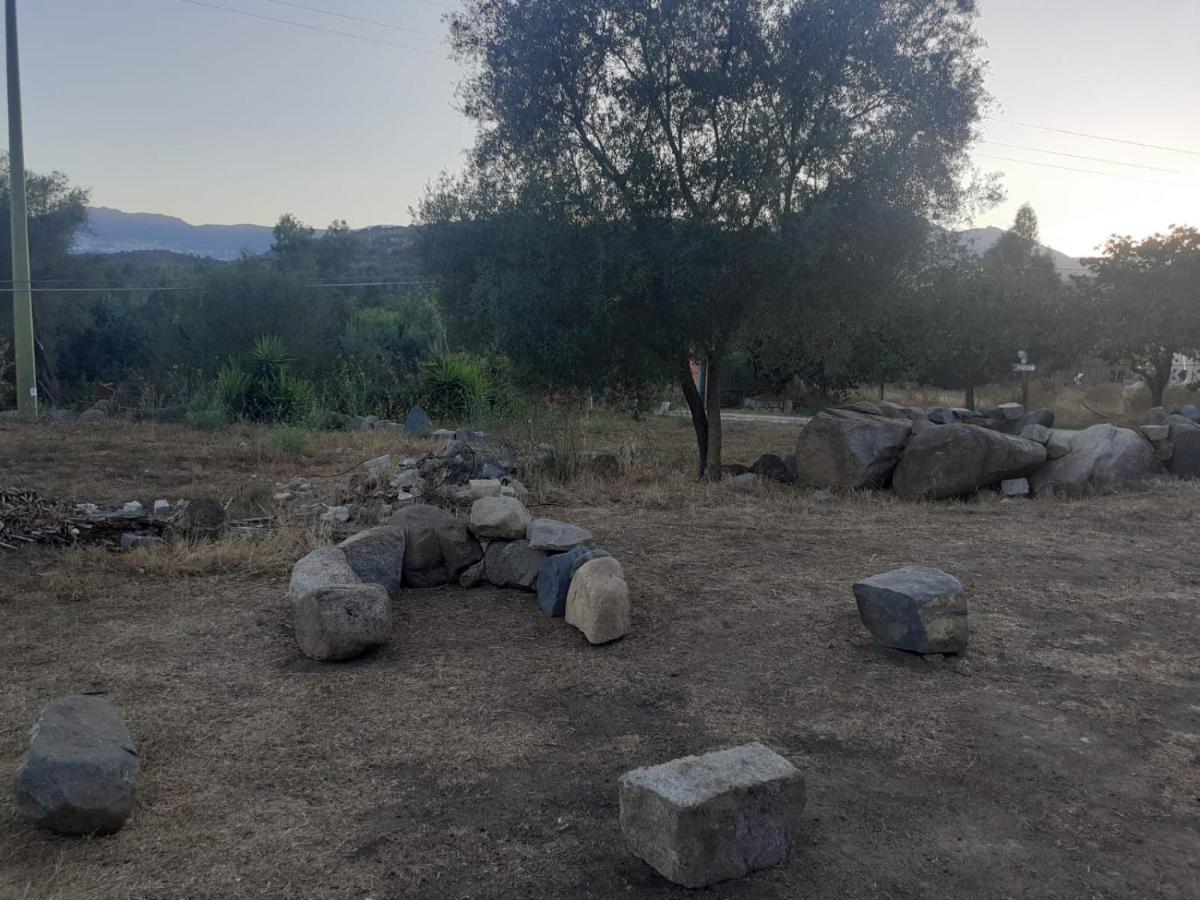 S'Imbragu Farm B&B Tortoli Luaran gambar
