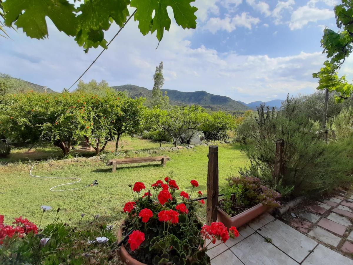 S'Imbragu Farm B&B Tortoli Luaran gambar
