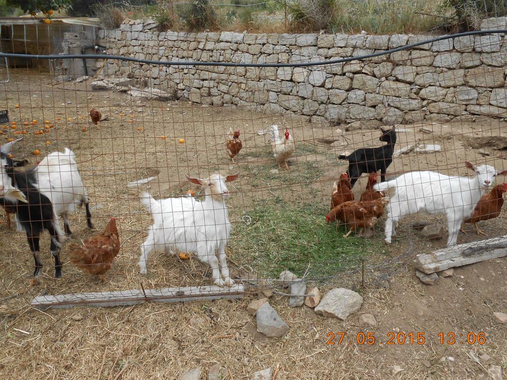 S'Imbragu Farm B&B Tortoli Luaran gambar
