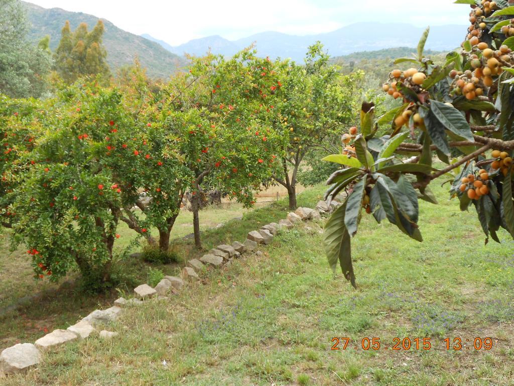 S'Imbragu Farm B&B Tortoli Luaran gambar