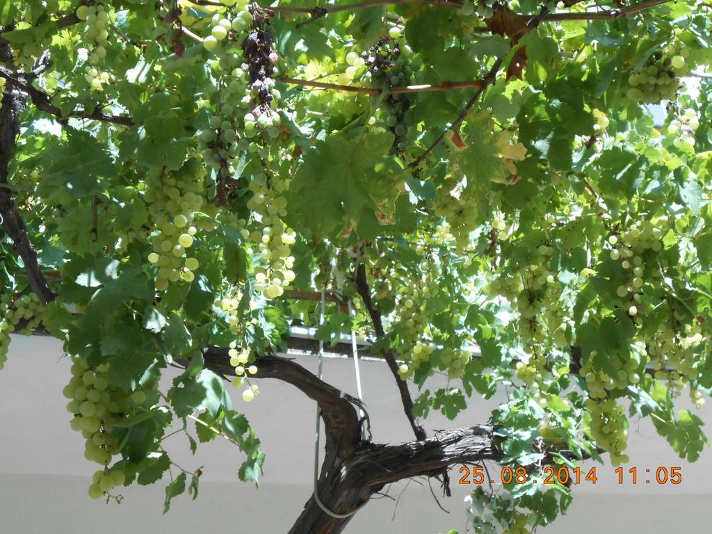 S'Imbragu Farm B&B Tortoli Luaran gambar