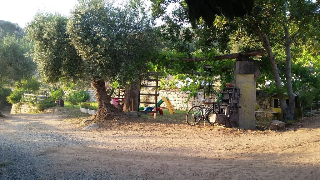 S'Imbragu Farm B&B Tortoli Luaran gambar