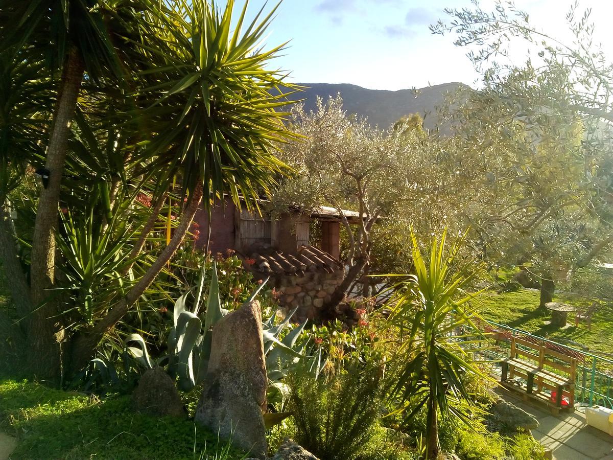 S'Imbragu Farm B&B Tortoli Luaran gambar