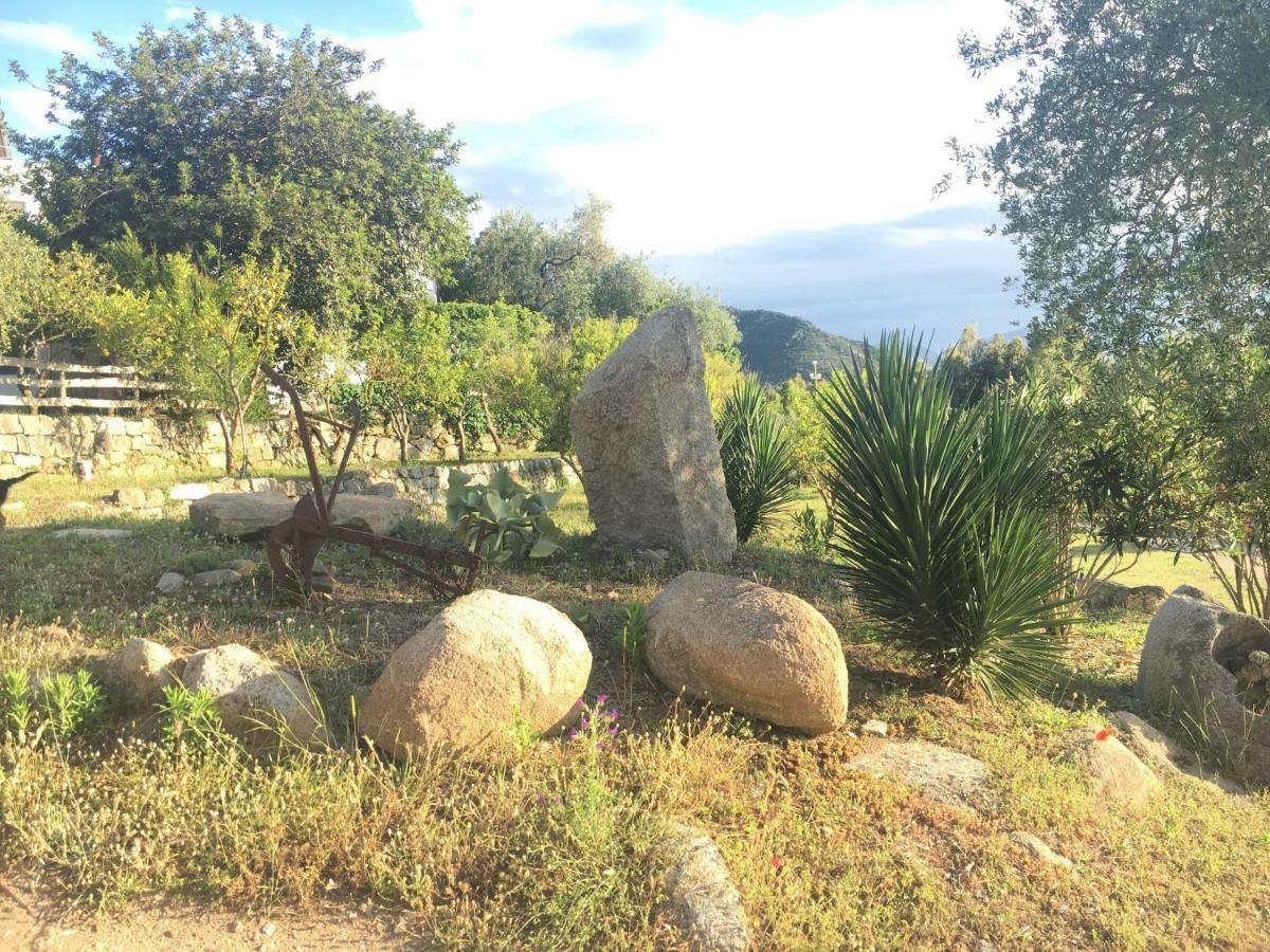 S'Imbragu Farm B&B Tortoli Luaran gambar