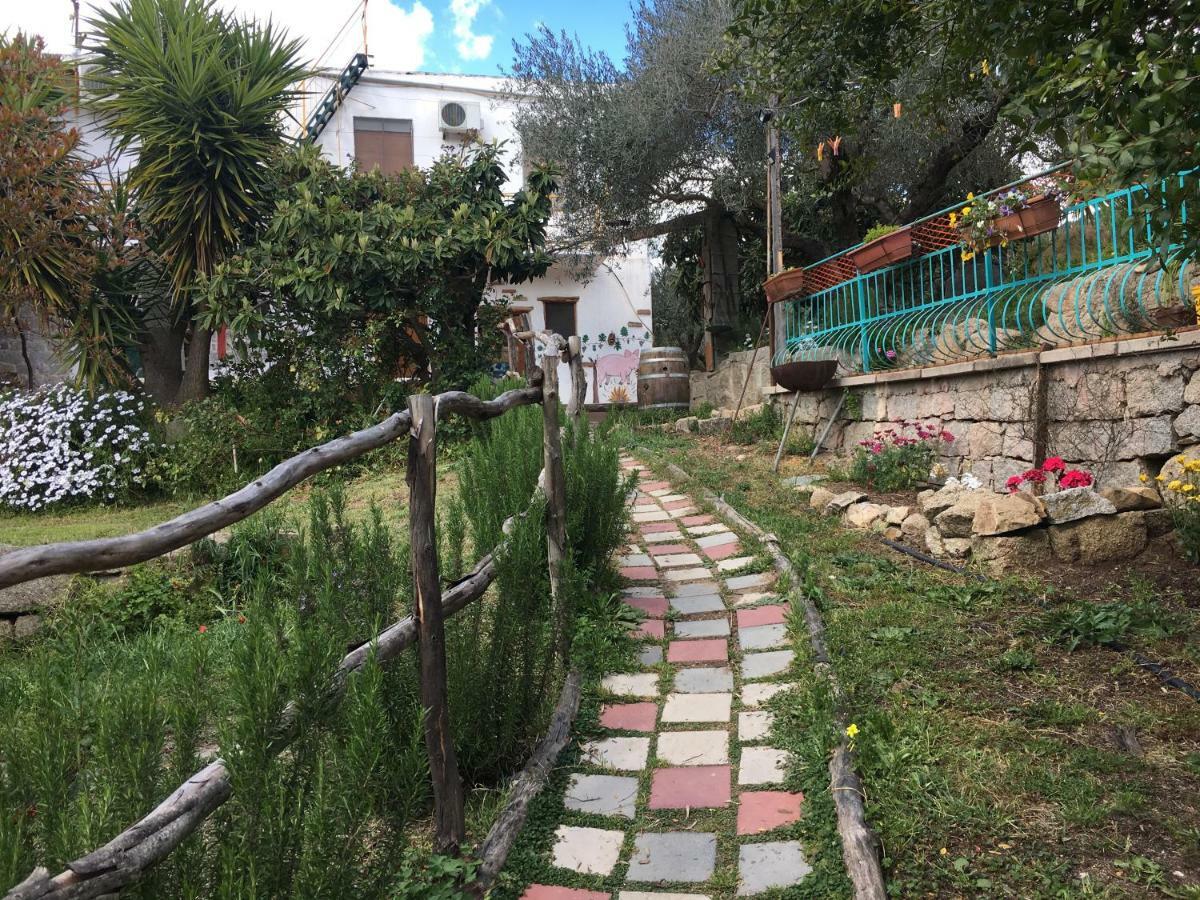 S'Imbragu Farm B&B Tortoli Luaran gambar