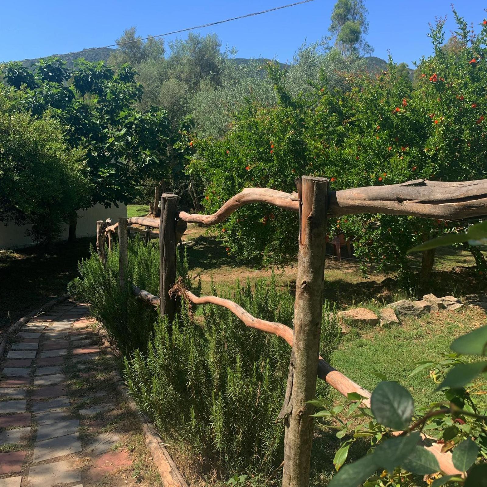S'Imbragu Farm B&B Tortoli Luaran gambar