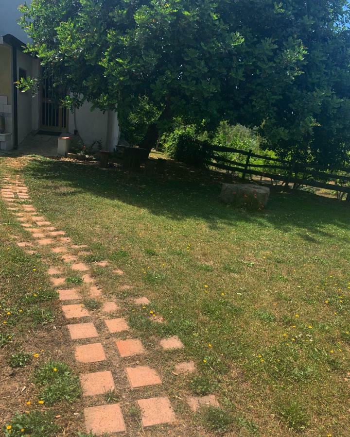 S'Imbragu Farm B&B Tortoli Luaran gambar